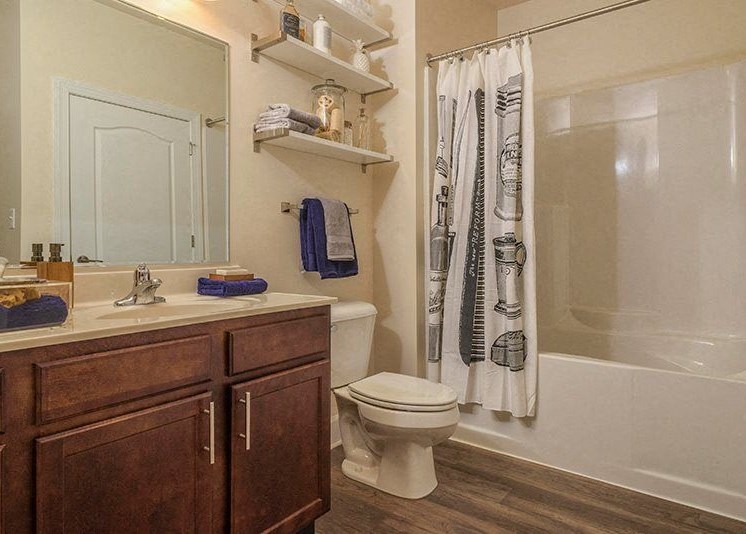 Wood-Plank Style Flooring in Baths at Abberly at Southpoint Apartment Homes by HHHunt, Fredericksburg, 22407